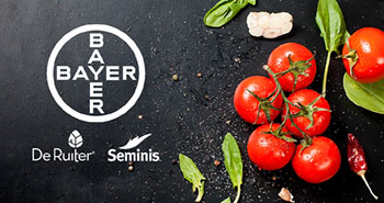 Bayer steigt bei Bio-Gemüsesaatgut ein